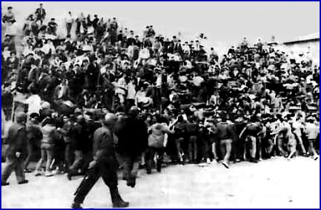 PARMA-Reggiana 04-05-1986. Polizia e Carabinieri schiacciano Ultras e tifosi contro il muretto della Nord. Foto 4