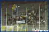 Frosinone-Parma 17-02-2009