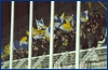 Frosinone-Parma 17-02-2009