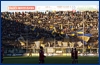 Parma-Livorno 22-11-2008