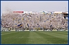 Parma-Pisa 09-05-2009