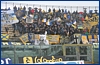 Livorno-Parma 10-01-2010