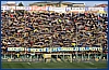 Parma-Juventus 06-01-2010