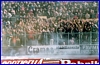 Bologna-PARMA 18-03-1984